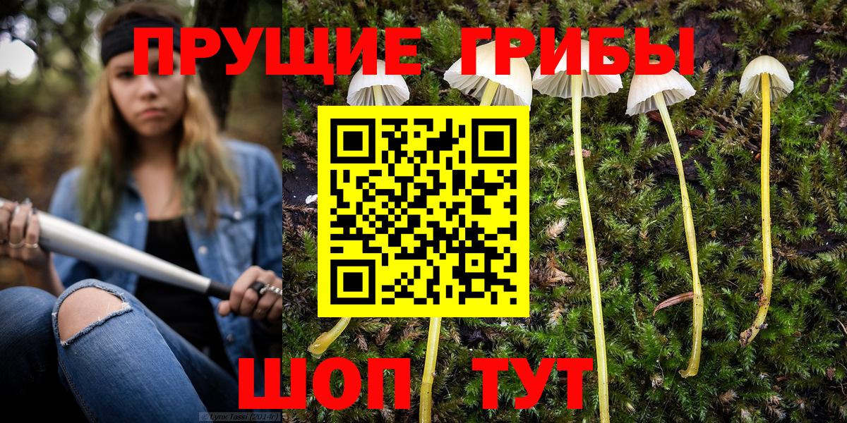Псилоцибиновые грибы ЛСД Добрянка